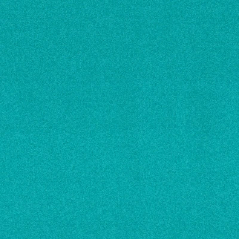 Upholstery fabric swatch